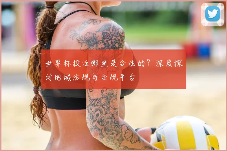 世界杯投注哪里是合法的?深度探讨地域法规与合规平台