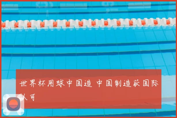 世界杯用球中国造 中国制造获国际认可