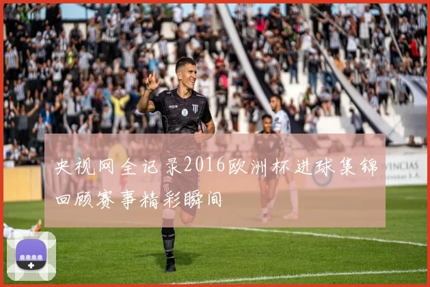 央视网全记录2016欧洲杯进球集锦回顾赛事精彩瞬间