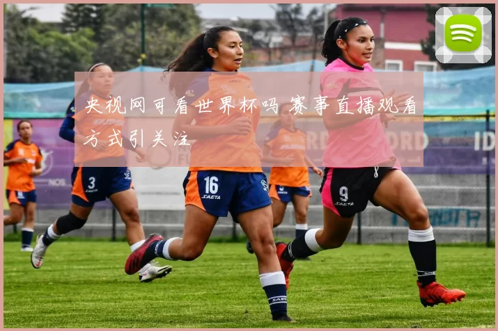 央视网可看世界杯吗 赛事直播观看方式引关注