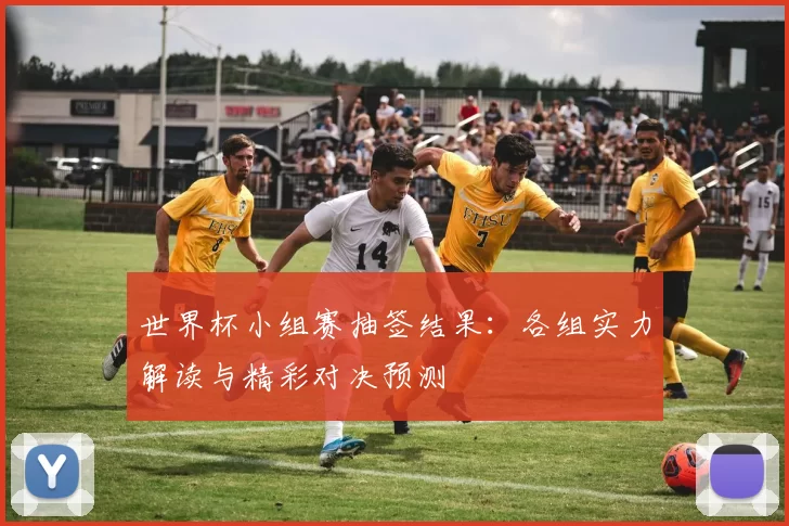 世界杯小组赛抽签结果：各组实力解读与精彩对决预测