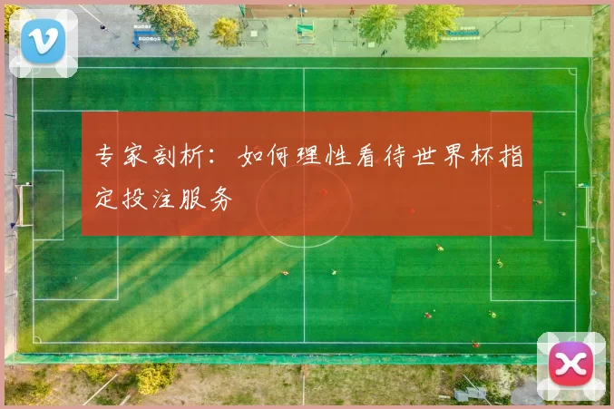 专家剖析：如何理性看待世界杯指定投注服务
