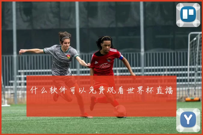 什么软件可以免费观看世界杯直播