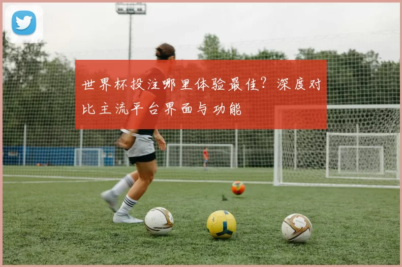 世界杯投注哪里体验最佳?深度对比主流平台界面与功能