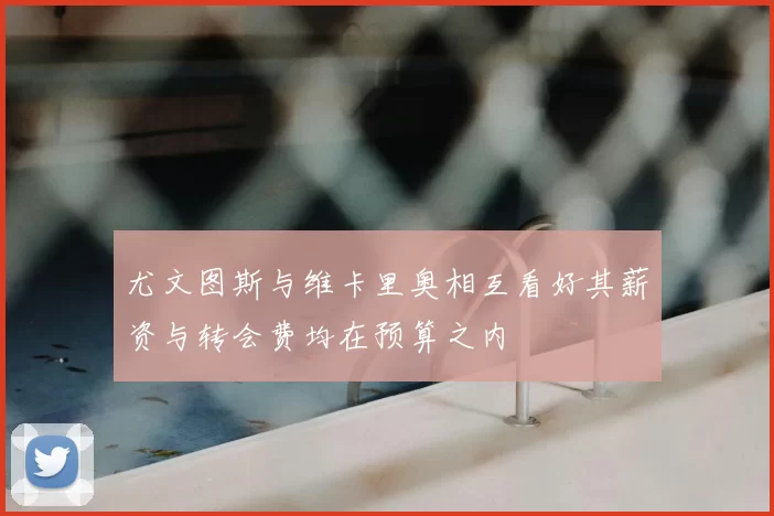 尤文图斯与维卡里奥相互看好其薪资与转会费均在预算之内