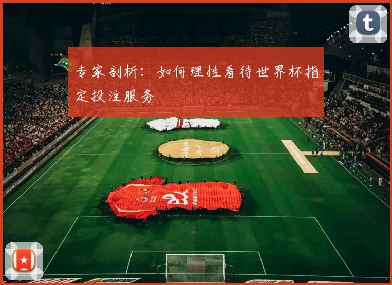 专家剖析：如何理性看待世界杯指定投注服务