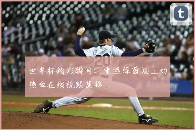 世界杯精彩瞬间：重温绿茵场上的热血在线视频集锦