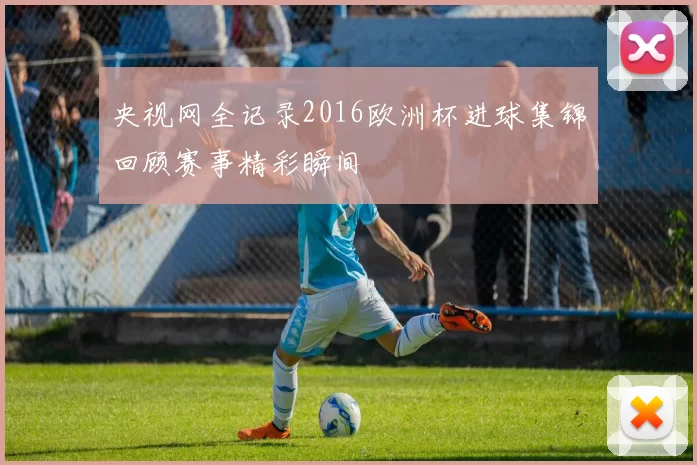央视网全记录2016欧洲杯进球集锦回顾赛事精彩瞬间