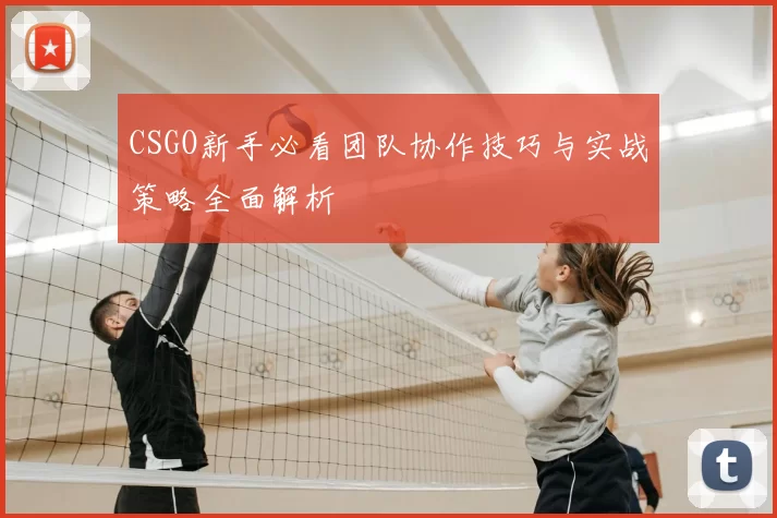 CSGO新手必看团队协作技巧与实战策略全面解析