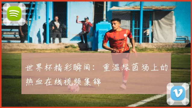 世界杯精彩瞬间:重温绿茵场上的热血在线视频集锦