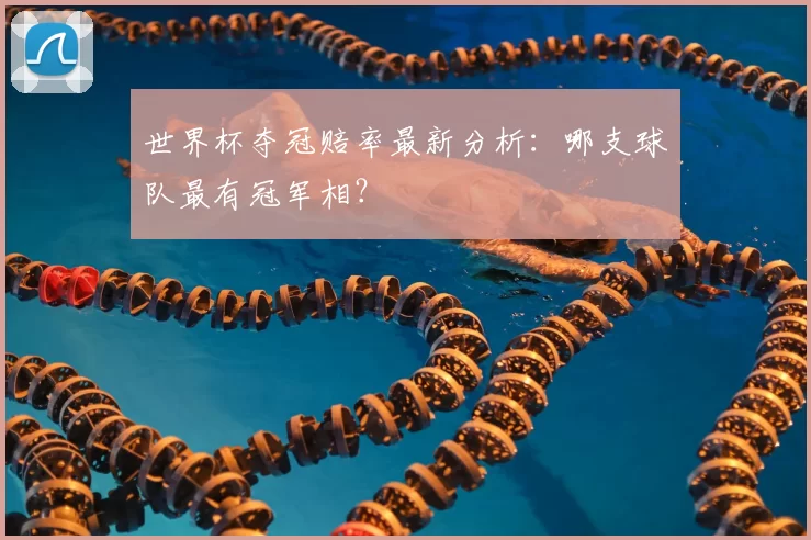 世界杯夺冠赔率最新分析：哪支球队最有冠军相？