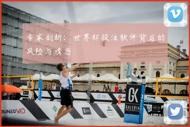 专家剖析:世界杯投注软件背后的风险与诱惑