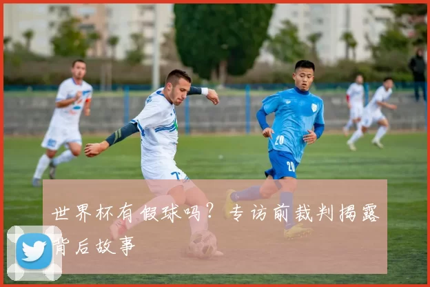 世界杯有假球吗？专访前裁判揭露背后故事