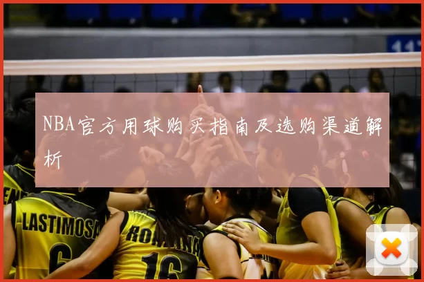 NBA官方用球购买指南及选购渠道解析