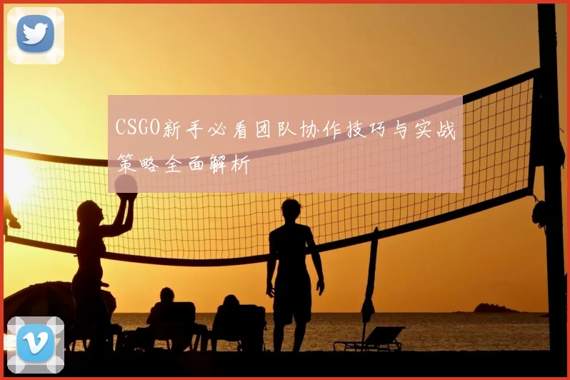 CSGO新手必看团队协作技巧与实战策略全面解析